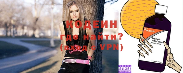 индика Белокуриха
