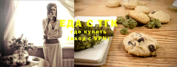 индика Белокуриха