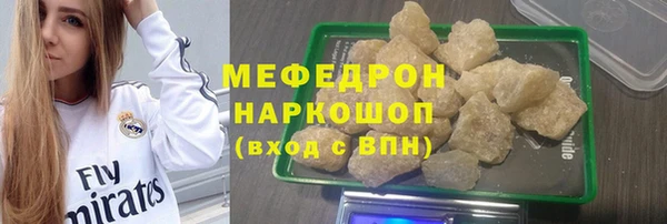 индика Белокуриха