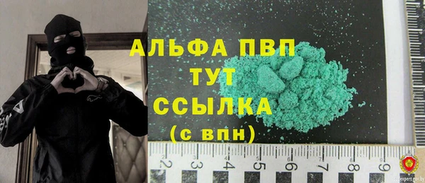 индика Белокуриха