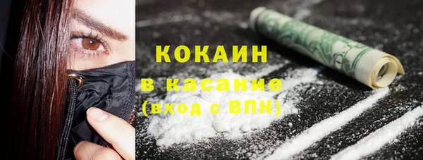 индика Белокуриха