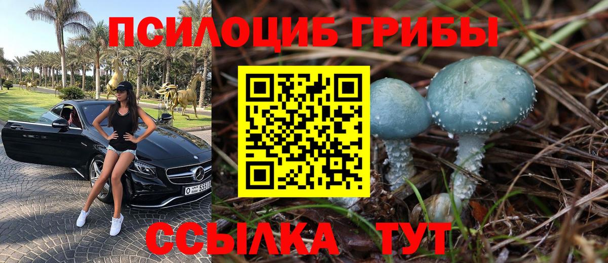 Реж  Галлюциногенные грибы Cubensis  Вход с VPN 